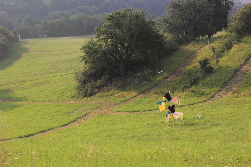 Transformation 35, installation at the Windkunstfestival in Zierenberg 2025 (Kirsten Kötter)