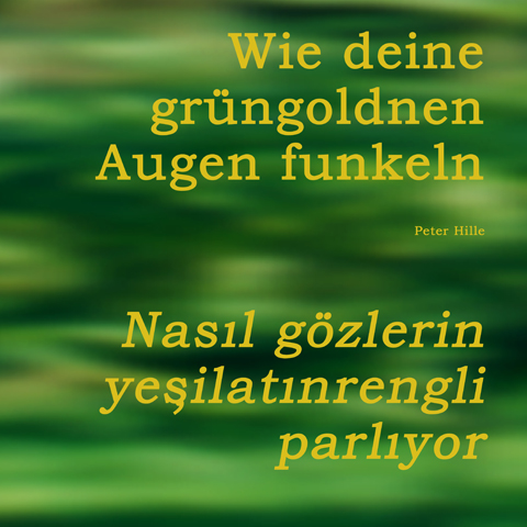 Kirsten K&ouml;tter: Deutscher Wald, 2001, Fotoprint, 40 &times; 40 cm