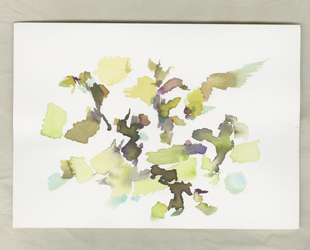 Site-specific Research Nature. Kevo Subarctic Research Institute Utsjoki, Finland von Kirsten K&ouml;tter, Videostill, Ausschnitt, Detail