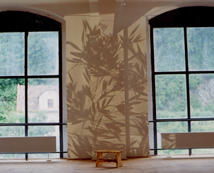 Kirsten K&ouml;tter: Projektion von Samen und Pflanzenteilen