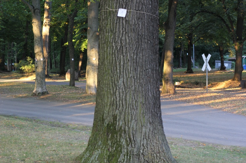 2025-08-18_malathon-chemnitz_zahlen_2761 (Kirsten Kötter)