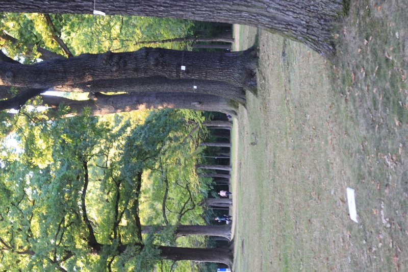 2025-08-18_malathon-chemnitz_zahlen_2767 (Kirsten Kötter)