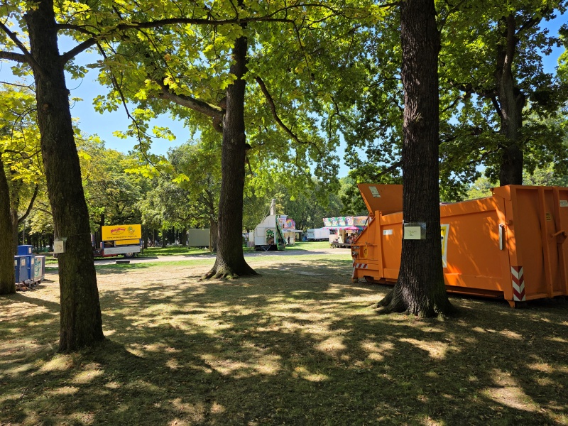 2025-08-19_malathon-chemnitz_02-03_baeume_20250819_133023 (Kirsten Kötter)