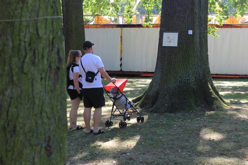 2025-08-19_malathon-chemnitz_08_baum_zuschauer_2832 (Kirsten Kötter)