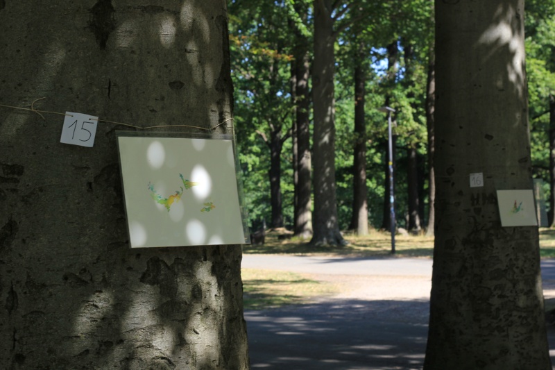 2025-08-19_malathon-chemnitz_15_16_baum_2884 (Kirsten Kötter)