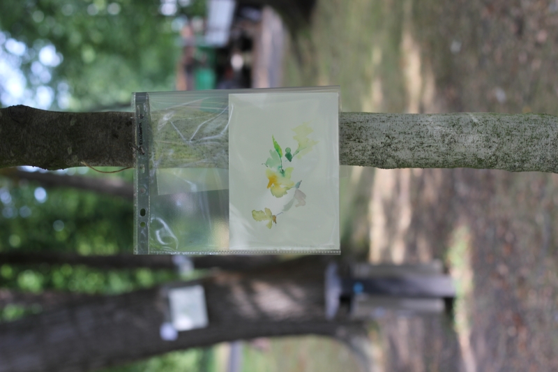 2025-08-21_malathon-chemnitz_39_baum_2970, watercolour, 12 × 17 cm (Kirsten Kötter)